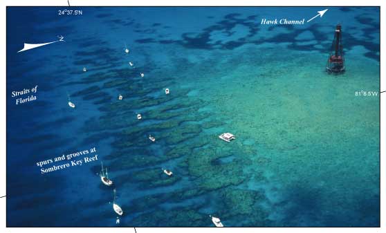 Photo shows spurs and grooves at Sombrero Key Reef. 