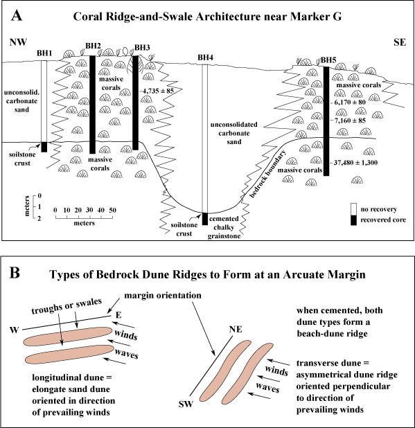 (A) Cross section of core transect across two rock ridges inshore from Marker G in the lower Keys. (B) Sketch shows how beach dunes would form along an arcuate margin with energy prevailing from a southeasterly direction.