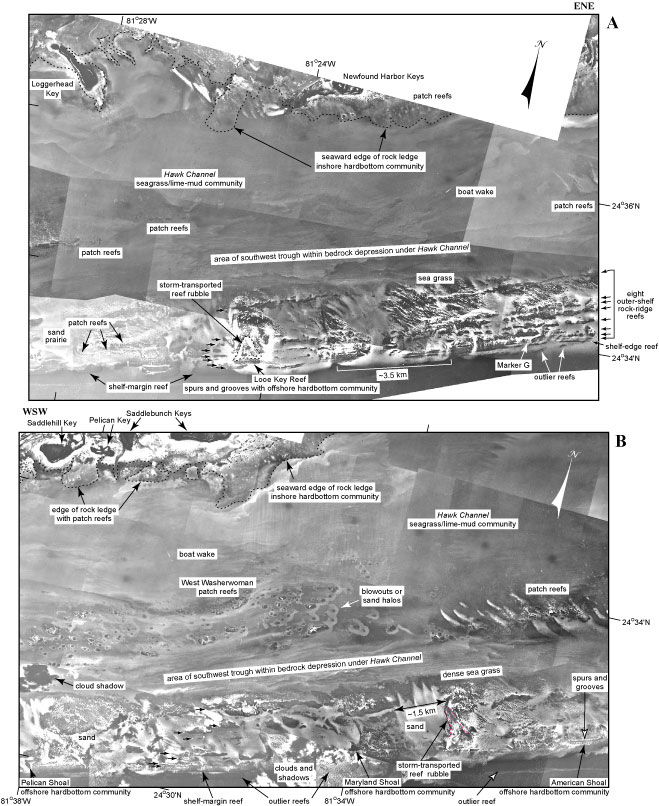 Contiguous aerial photos (1975) show seabed features and habitats seaward of (A) the Newfound Harbor Keys (middle Keys, Tile 5) and (B) the Saddlebunch Keys