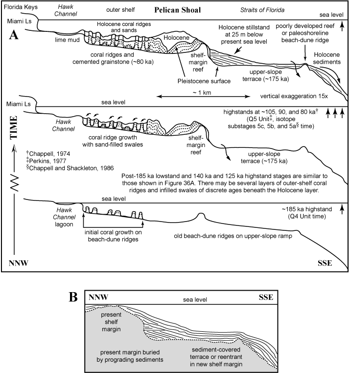 Model of evolution at Pelican Shoal