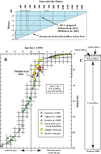 (A) Diagram shows time that it will take for sea level to inundate the Florida Keys at its present measured rate of rise (solid diagonal). (B)The sea-level curve for the Florida reef tract is well constrained by local proxy data (in conventional carbpn-14 ages) as modified (Lidz and Shinn, 1991) from the curve of Robbin (1984). (C) Rates of sea-level rise.