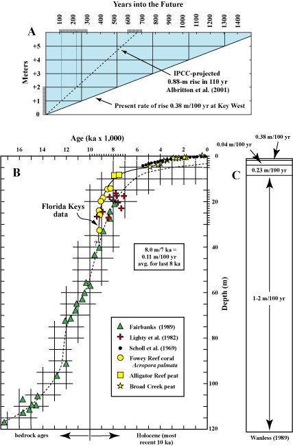 (A) Diagram shows time that it will take for sea level to inundate the Florida Keys at its present measured rate of rise (solid diagonal). (B)The sea-level curve for the Florida reef tract is well constrained by local proxy data (in conventional 14C ages) as modified (Lidz and Shinn, 1991) from the curve of Robbin (1984). (C) Rates of sea-level rise.