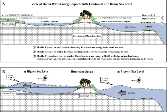 Schematic diagram shows impact of rising sea level and hurricane flood surge