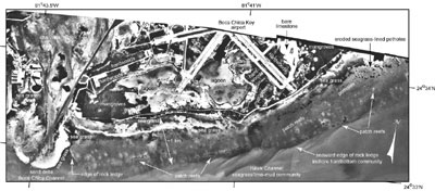 Aerial photo (1991) shows distinct nearshore rock ledge along seaward side of Boca Chica Key
