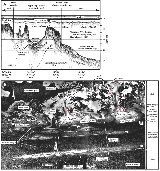 (A) Original seismic documentation of three tracts of outlier reefs off Sand Key Reef southwest of Key West. (B) Aerial photo (1975) of Sand Key Reef area shows four tracts of outlier reefs and their sandy backreef troughs.