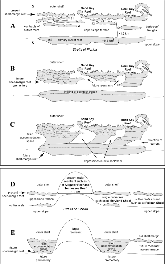 Plan views of the Sand Key shelf-margin and outlier reefs traced from the aerial photo