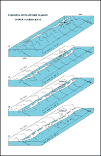 Block diagrams of the Pleistocene shelf-edge surface off the lower Keys are constructed from outlines of pre-1997 interpreted seismic profiles 