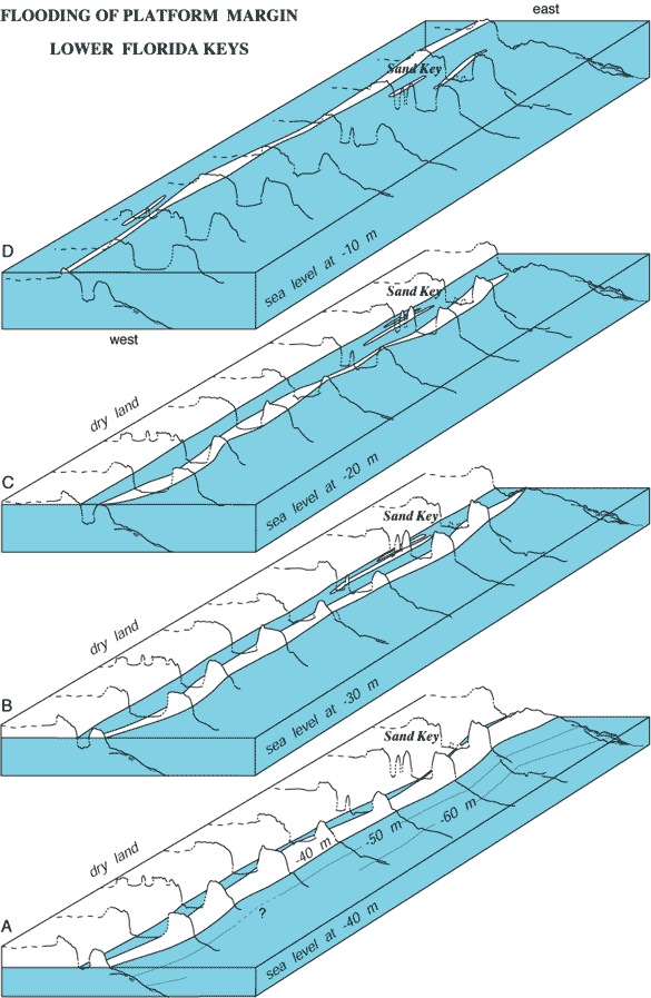 Block diagrams of the Pleistocene shelf-edge surface off the lower Keys are constructed from outlines of pre-1997 interpreted seismic profiles