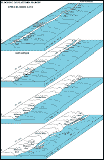 Block diagrams of the Pleistocene shelf-edge surface off the upper Keys are constructed from outlines of pre-1997 interpreted seismic profiles