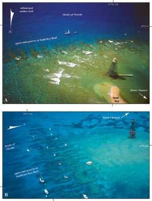 Photos show prominent Holocene spurs and grooves at Sand Key Reef and Sombrero Key Reef.