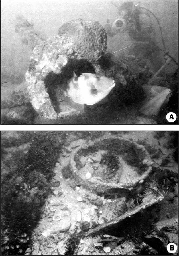 Well site 826Y. (A) Large piece of drilling debris encrusted with sponges and algae. Triggerfish emerges from interior of pipe while diver uses underwater video camera in right background. (B) Short length of casing and other algae-encrusted debris.
