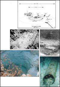 Well site G4950. (A) Sketch of site in 70 meters of water shows approximate position of various debris objects. A long furrow led from a 60-centimeter-deep pit at lower right.  (B) View of disrupted bottom community consisting mainly of red algal nodules and plates. The green alga Caulerpa species was common. (C) View of cement donut or grout mound around well bore. (D) Closeup of vertical hole of well bore in bedrock. (E) View of pipe at right in (A).