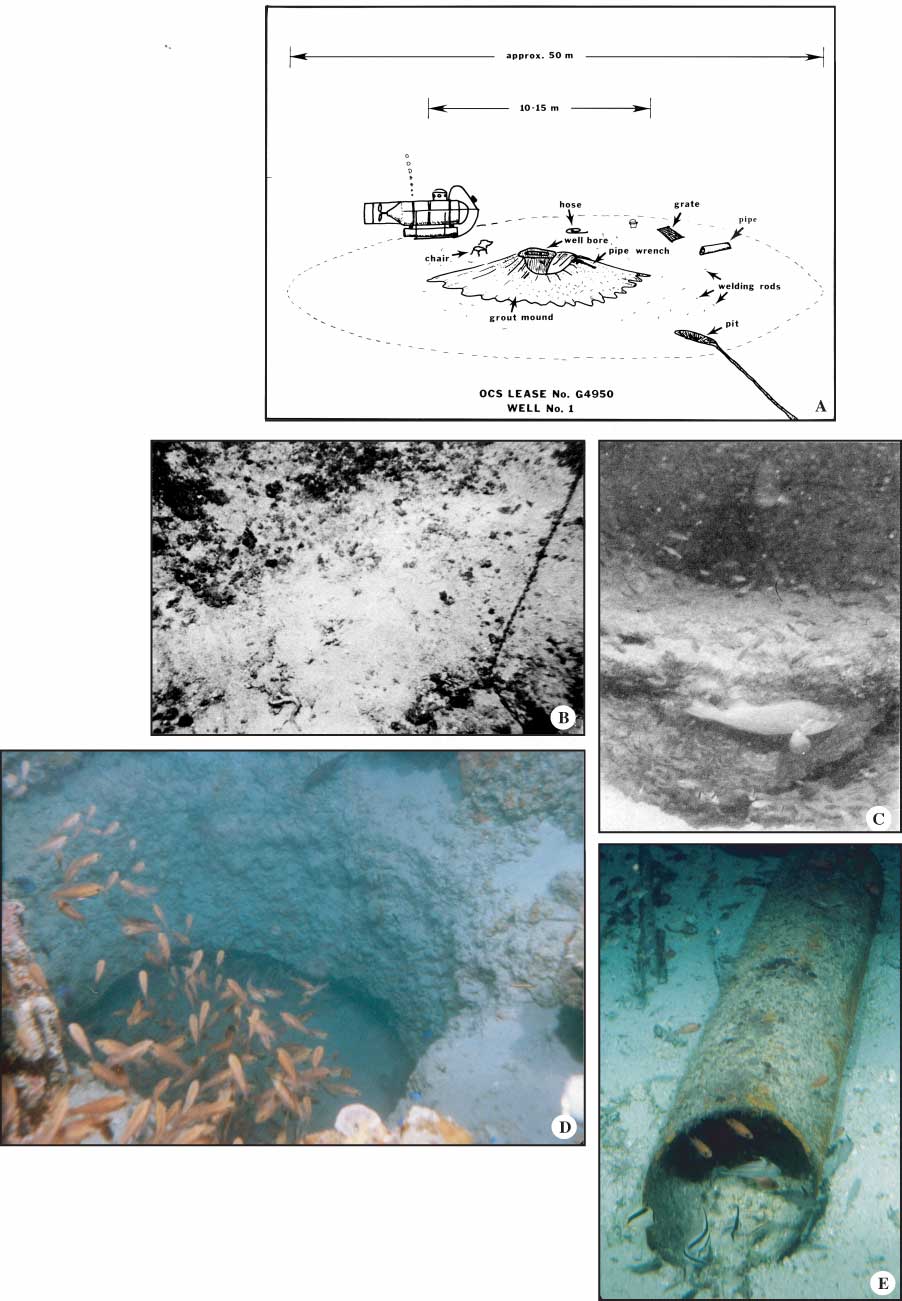 Well site G4950. (A) Sketch of site in 70 m of water shows approximate position of various debris objects. A long furrow led from a 60-cm-deep pit at lower right.  (B) View of disrupted bottom community consisting mainly of red algal nodules and plates. The green alga Caulerpa species was common. (C) View of cement donut or grout mound around well bore. (D) Closeup of vertical hole of well bore in bedrock. (E) View of pipe at right in (A).