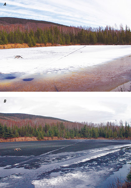 Ice break-up at 33.5 Mile Pond, Steese Highway, Alaska, showing A, the high albedo of snow ice (white ice) on 1 May 2004, and B, the low albedo of the underlying S2 congelation (black ice) on 7 May 2004, after the snow ice had melted completely. Note the low albedo of the water in the moat that accelerates ice decay around the margins. Photographs by Martin O. Jeffries, Geophysical Institute, University of Alaska Fairbanks.