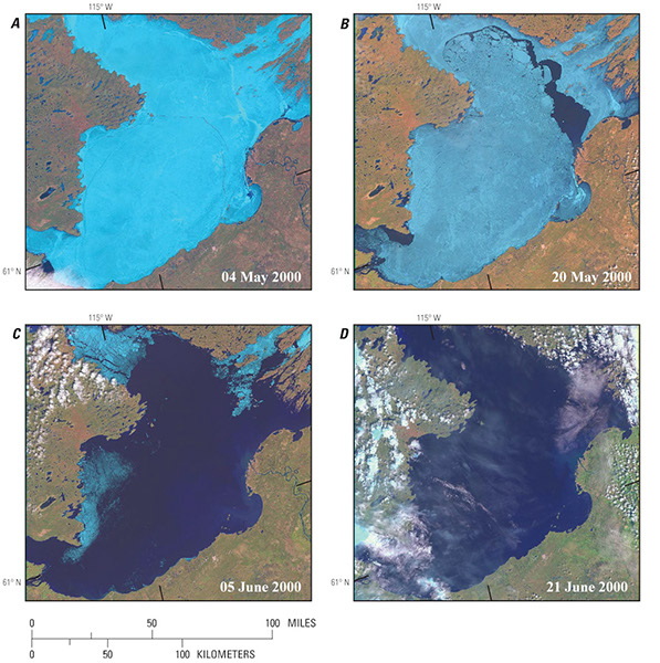 Figure 21, Landsat-7 ETM+ (bands 3, 4, 5) images show break-up on Great Slave Lake (lat 61.46°N., long 114.60°W.), Northwest Territories, Canada, in spring 2000: A, 4 May, B, 20 May, C, 5 June, and D, 21 June. The fracturing, weakening, and shrinkage of the ice are evident, as is the complete disappearance of ice from numerous smaller lakes long before Great Slave Lake was completely ice free. Each image covers an
area of 185 km by 185 km on the ground.