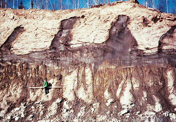 Figure 11.—Two examples of large ice wedges: B, Ice wedges exposed in road cut along Steese Highway near Fox (Fairbanks), Alaska.
(1977 photograph provided by Steven Arcone, U.S. Army Corps of Engineers, Cold Regions Research and Engineering Laboratory).  