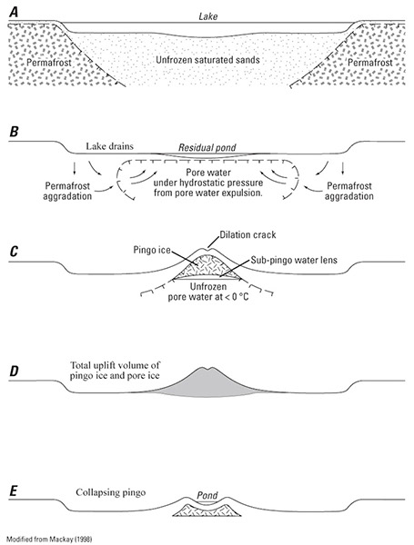 Figure 16.—Diagram illustrating the genesis and collapse of the closed-system pingos of the Tuktoyaktuk Peninsula area, Northwest Territories, Canada (from Mackay, 1998). 
 
 