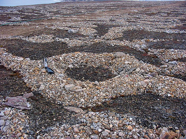 Figure 30.—Patterned ground as illustrated by sorted circles (see rifle for comparison of size), Kongsfjorden-Brøggerhalvøya area, Svalbard, Norway
(photograph by Grzegorz Rachlewicz,Uniwersytet im. Adama Mickiewicza, Poznan, Poland). 
  