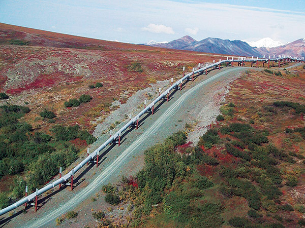 Figure 45.—Trans-Alaska Pipeline System (TAPS) on elevated thermopiles to prevent
permafrost thaw (photograph courtesy of Alyeska Pipeline Service Company). 
 
  