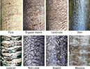 Figure 10.—Illustrations of eight types of segregated ice in permafrost cores (provided by M.T. Jorgenson, ABR, Inc., Fairbanks, Alaska). 