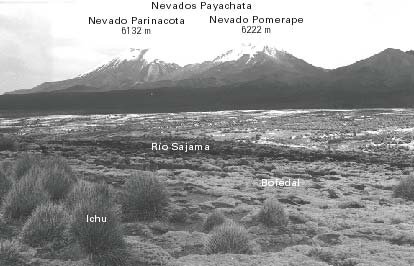Nevados Payachata