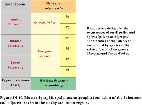Biostratigraphic (palynostratigraphic) zonation