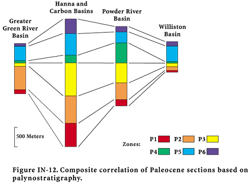 Composite correlation of Paleocene sections