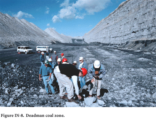 Deadman coal zone