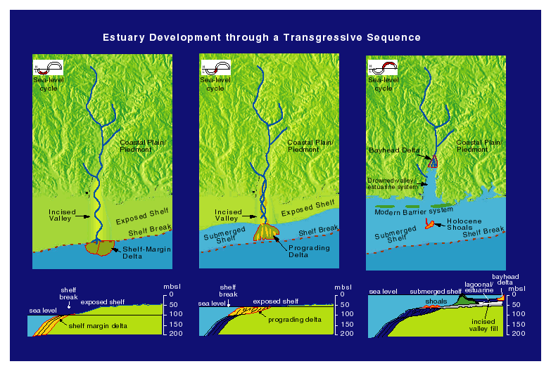 Schematic representations of estuary and shelf development through Holocene sea-level rise (transgression) in the northern Gulf of Mexico