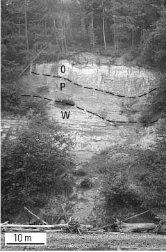 29. Photograph showing bluff outcrops of Quaternary strata at locality c of figure 27