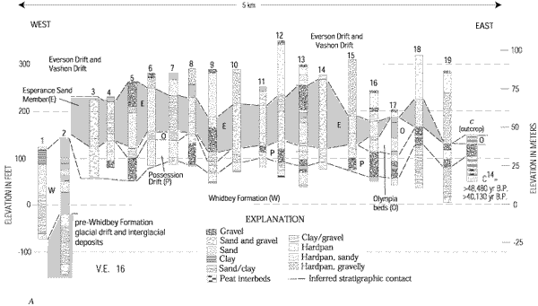 30. Interpretive east-west stratigraphic correlation diagrams north (A) of Devils Mountain fault