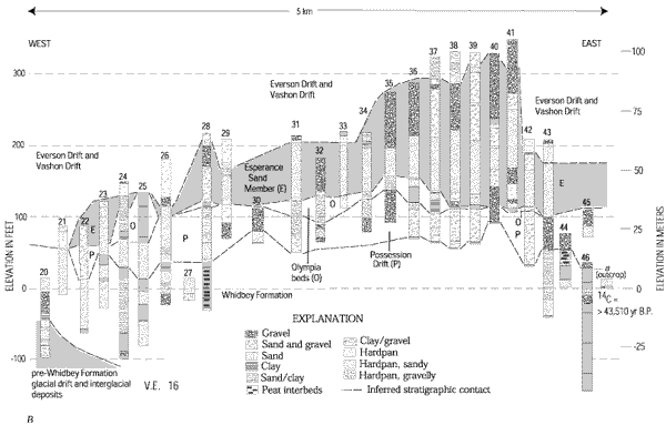 30. Interpretive east-west stratigraphic correlation diagrams north south (B) of Devils Mountain fault
