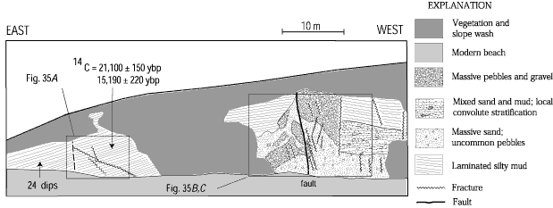 34. Line drawing of deformed Quaternary strata exposed on Utsalady Point, Camano Island