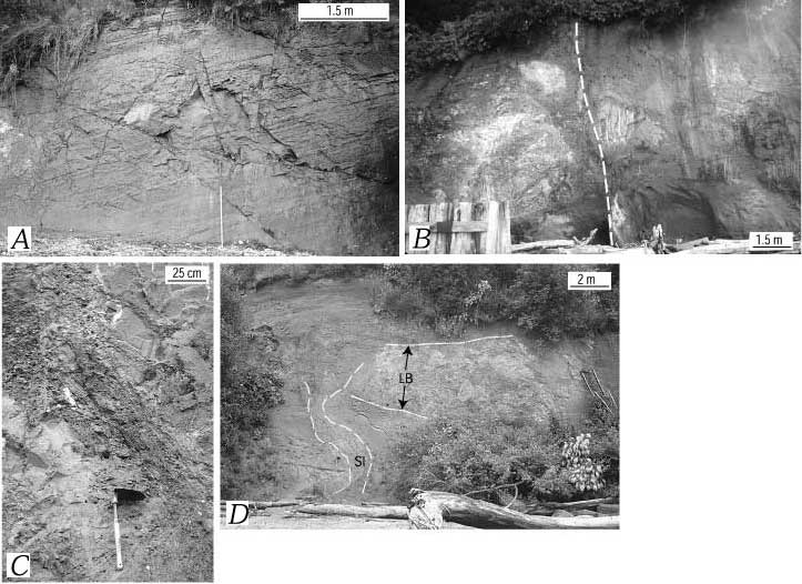 35. Photographs of deformation and facies in upper Pleistocene deposits in Utsalady Point fault zone at Utsalady Point, Camano Island