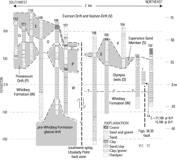 37. Interpretive stratigraphic correlation diagram crossing part of Utsalady Point fault zone, northwestern Camano Island