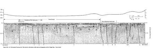 Fig 8a. 8. U.S. Geological Survey Line 176, seismic-reflection profile and aeromagnetic profile, Skagit Bay - Interpreted