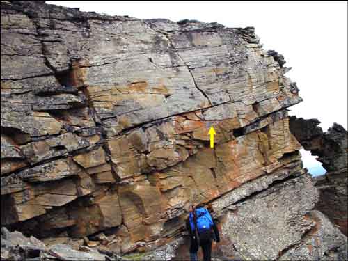 Crossbedded sandstone in upper part of lower Nanushuk Formation on Slope Mountain, Philip Smith Mountains quadrangle