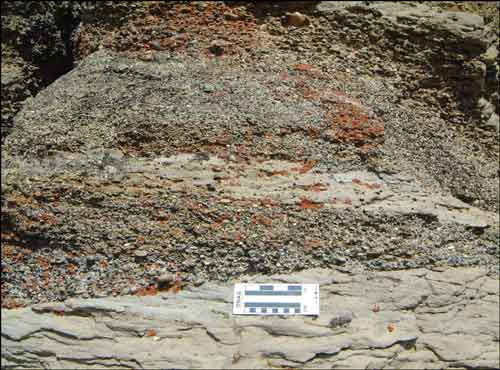 Crossbedded quartz- and chert-pebble conglomerate and sandstone in Tuluvak Formation at same outcrop shown in figure 17