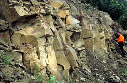 Bioturbated marine sandstone in Tuluvak Formation along west side of Nanushuk River on south side of Rooftop Ridge, Chandler Lake quadrangle