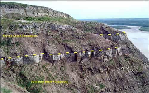 Upper part of Shivugak Bluff showing section that includes the contact between the Schrader Bluff Formation and the overlying Prince Creek Formation