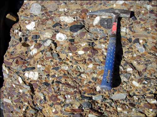 Conglomerate in Prince Creek Formation along Colville River in northern Umiat quadrangle