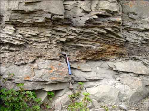 Medium- to coarse-grained, pebbly, crossbedded sandstone in Prince Creek Formation at Shivugak Bluff
