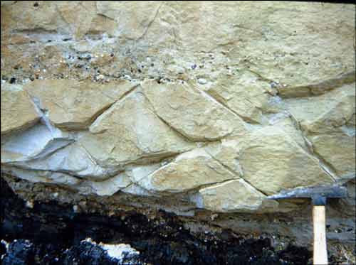 Closeup view of quartz-rich sandstone, with quartz- and chert-pebble lag, overlying coal in Sagwon Member of Sagavanirktok Formation