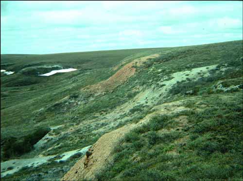 Oxidized clinker zone in coal-bearing upper part of Sagwon Member of Sagavanirktok Formation in southeast part of the White Hills