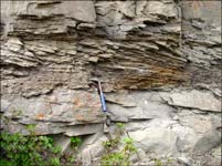 Medium- to coarse-grained, pebbly, crossbedded sandstone in Prince Creek Formation at Shivugak Bluff