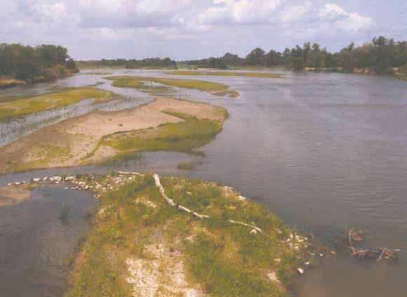 photo of slow-moving, wide river and sand bars