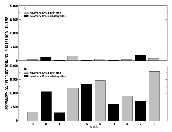 Two bar graphs showing E. coli densities on the Newfound Creek main stem and tributaries; the top graph shows levels during low flow and the second shows levels during high flow