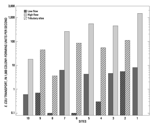 Bar graph showing E. coli transport at the sampling locations during periods of high and low flow