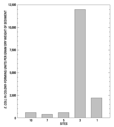 Bar graph showing the density of E. coli in bed sediments at five of the sampling sites