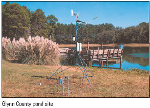 Picture of the Glynn County pond site. 